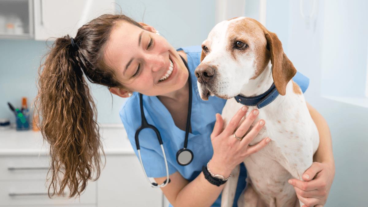 Ventajas y desventajas de estudiar veterinaria