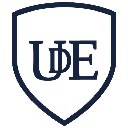 Universidad del Este